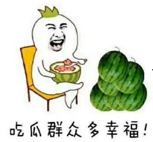 吃娱乐圈搞笑瓜